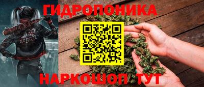 jwh Новозыбков