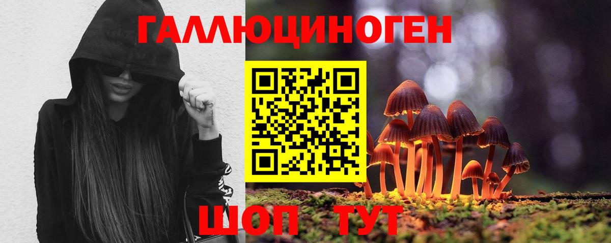 Галлюциногенные грибы Psilocybine cubensis Рубцовск